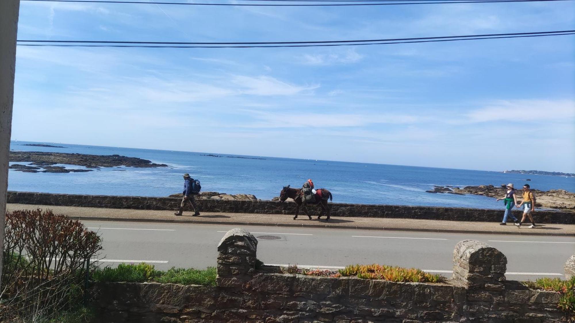 Appartement T3 De 74M2 Tres Lumineux Vue Panoramique Mer Et Plages Concarneau Εξωτερικό φωτογραφία